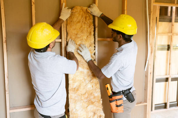 Best Soundproof Insulation Installation  in Jamestown, TN